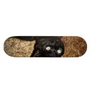 Pesquisar por gato preto skates Animais