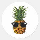 Pesquisar por aloha camisa adesivos Solha