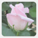 Pesquisar por aumentou adesivos Floral