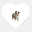 Pesquisar por sheepdog adesivos Cãozinho