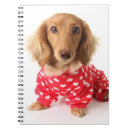 Pesquisar por filhote cachorro do dachshund de cadernos de notas Animal