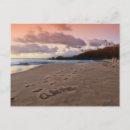 Pesquisar por aloha hawaii cartoes postais Hawaiiano