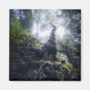 Pesquisar por raiz quadrada imas Floresta