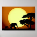 Pesquisar por poster do safari pôsteres pósteres Animais selvagens