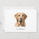 Pesquisar por golden retriever convites Labrador