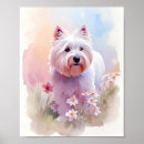 Pesquisar por westie pôsteres pósteres Cão