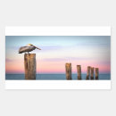 Pesquisar por pelican adesivos Litoral