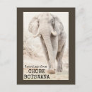 Pesquisar por botswana cartoes postais Elefante
