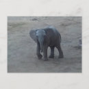 Pesquisar por elephant cartoes postais Elefante