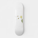 Pesquisar por salvar skates Apicultor