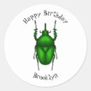 Pesquisar por insetos adesivos Qualquer crinaça