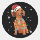 Pesquisar por dachshund adesivos Amante de dachshund