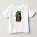 Pesquisar por smith camisetas Jedediah smith redwoods