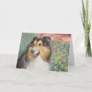 Pesquisar por sheepdog cartoes Sheltie