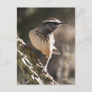 Pesquisar por coll cartoes postais Natureza