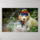 Pesquisar por filhotes de cachorro pôsteres pósteres Fotografia