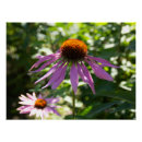 Pesquisar por papel de embalagem de pôsteres pósteres Para eles