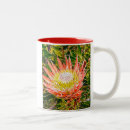 Pesquisar por protea canecas Austrália