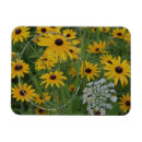 Pesquisar por quadro negro imas Para ela