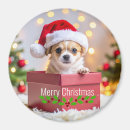 Pesquisar por decorados imas Natal
