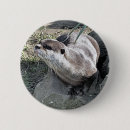 Pesquisar por foto lontra acessorios Animais