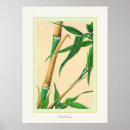 Pesquisar por japanese vintage pôsteres pósteres Antique