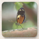 Pesquisar por macro de porta copos Natureza