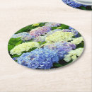 Pesquisar por hydrangea porta copos Qualquer pessoa