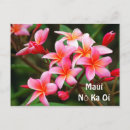 Pesquisar por hawaiian flowers cartoes postais Pink