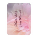 Pesquisar por plantação imas Arte