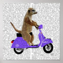 Pesquisar por lilac pósteres Animais