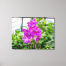 Pesquisar por orquídeas roxas impressão de canvas Roxo