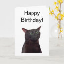 Pesquisar por irritado cartoes Feliz aniversário