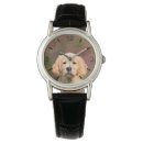 Pesquisar por golden retriever acessorios Filhote de cachorro