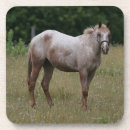 Pesquisar por cavalo appaloosa porta copos Foto