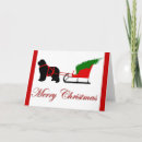 Pesquisar por fundação cartoes Novato