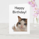 Pesquisar por doido cartoes postais Para ele