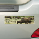 Pesquisar por nature adesivos carros Qualquer pessoa