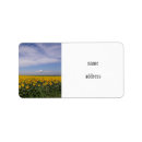 Pesquisar por girassol etiquetas Flores