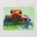 Pesquisar por répteis cartoes postais Sangue frio