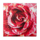 Pesquisar por listrado azulejos Vermelho