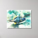 Pesquisar por peixes impressão de canvas Azul