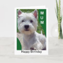 Pesquisar por west highland terrier cartoes White