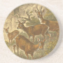 Pesquisar por batata porta copos Animal