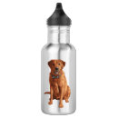 Pesquisar por labrador garrafa agua Cães