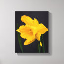 Pesquisar por amarelo impressão de canvas Preto
