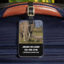 Pesquisar por elefante bagagem tags Aventura