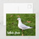 Pesquisar por porte postal da queda Natureza