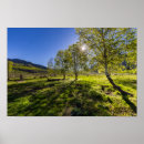 Pesquisar por nascer do sol pósteres Verde