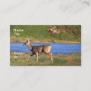 Pesquisar por running cartao de visita Animais selvagens